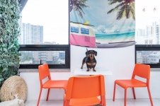 댕댕클럽 음식점 정보와 주변 관광 명소 및 근처 맛집 여행 정보