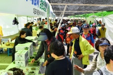 정선곤드레 산나물축제 최신 축제 공연 행사 정보와 주변 관광 명소 및 근처 맛집 여행 정보