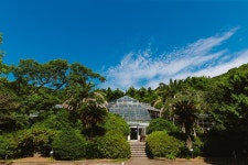 한라수목원 관광 정보와 주변 관광 명소 및 근처 맛집 여행 정보