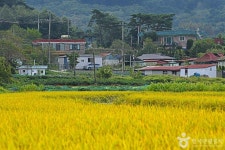 강화 용두레마을 관광 정보와 주변 관광 명소 및 근처 맛집 여행 정보