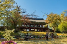 삼척문화예술회관 - 주변 여행 및 근처 관광 명소 - 국내 여행 정보와 관광 명소 정보