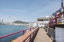 현대흰여울수선 | ヒニョウル文化村(흰여울문화마을) - 観光 - 韓国旅行・観光情報