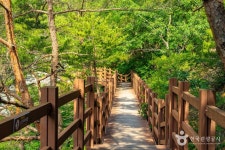 신선계곡 관광 정보와 주변 관광 명소 및 근처 맛집 여행 정보