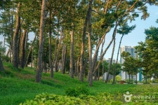 중산지 관광 정보와 주변 관광 명소 및 근처 맛집 여행 정보