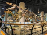 안면도 쥬라기박물관 문화 정보와 주변 관광 명소 및 근처 맛집 여행 정보