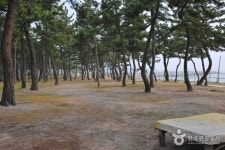 Sacheon Beach (사천해변(사천해수욕장)) - Sightseeing - Korea travel and tourism information