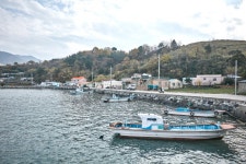 미국마을 - 주변 여행 및 근처 관광 명소 - 국내 여행 정보와 관광 명소 정보