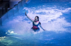 Pacific Land (퍼시픽랜드) - Sightseeing - Korea travel and tourism information