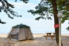 사계절랜드파크마검포텐트오토캠핑야영장 레저스포츠 정보와 주변 관광 명소 및 근처 맛집 여행 정보