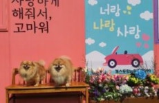 개스토랑in위촌길299 음식점 정보와 주변 관광 명소 및 근처 맛집 여행 정보