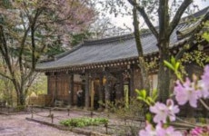 호텔정관루별관(콘도별장) 숙박 정보와 주변 관광 명소 및 근처 맛집 여행 정보