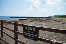 발자국화석공원 관광 정보와 주변 관광 명소 및 근처 맛집 여행 정보