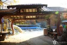 알프스벨리 사계절썰매장 레저스포츠 정보와 주변 관광 명소 및 근처 맛집 여행 정보