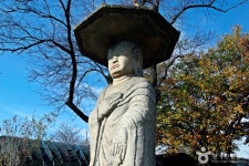 충주 원평리 석조여래입상 관광 정보와 주변 관광 명소 및 근처 맛집 여행 정보