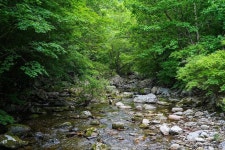 백천계곡 관광 정보와 주변 관광 명소 및 근처 맛집 여행 정보
