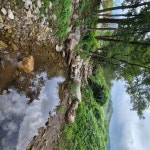 구학산채관광마을 희망캠핑장 레저스포츠 정보와 주변 관광 명소 및 근처 맛집 여행 정보