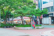 장미의거리 관광 정보와 주변 관광 명소 및 근처 맛집 여행 정보