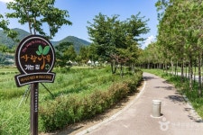 거례리사랑나무 관광 정보와 주변 관광 명소 및 근처 맛집 여행 정보