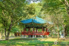 악양 취간림 관광 정보와 주변 관광 명소 및 근처 맛집 여행 정보