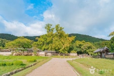 고산 윤선도 유적지 관광 정보와 주변 관광 명소 및 근처 맛집 여행 정보