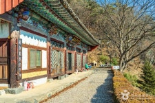 금대암 관광 정보와 주변 관광 명소 및 근처 맛집 여행 정보