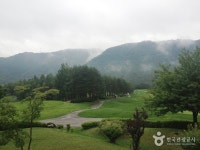 Yongpyong Golf Club (용평 골프클럽) - Leisure - Korea travel and tourism information