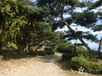 달빛이머무는집 숙박 정보와 주변 관광 명소 및 근처 맛집 여행 정보