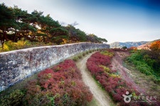 高敞邑城（고창읍성） - 観光 - 韓国旅行・観光情報
