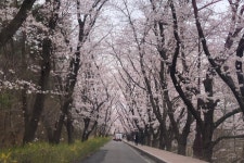 경주엔한옥펜션 - 주변 여행 및 근처 관광 명소 - 국내 여행 정보와 관광 명소 정보