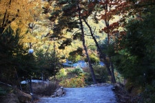 장흥숲길캠핑장 레저스포츠 정보와 주변 관광 명소 및 근처 맛집 여행 정보