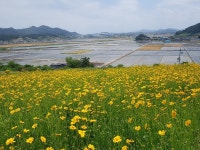 백제불교최초도래지 - 주변 여행 및 근처 관광 명소 - 국내 여행 정보와 관광 명소 정보