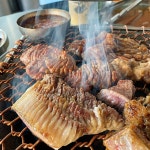 도갈비 음식점 정보와 주변 관광 명소 및 근처 맛집 여행 정보