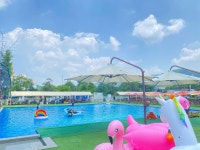 도그스포지움 송추점 관광 정보와 주변 관광 명소 및 근처 맛집 여행 정보