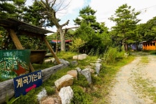 평창문화관광 > 추천여행 > 테마여행 평창문화관광  &gt; 추천여행 &gt; 테마여행