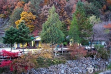 홍천 살둔마을 - 주변 여행 및 근처 관광 명소 - 국내 여행 정보와 관광 명소 정보