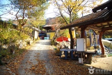 알프스벨리 사계절썰매장 레저스포츠 정보와 주변 관광 명소 및 근처 맛집 여행 정보