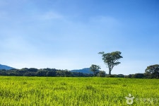 카페 말로 - 주변 여행 및 근처 관광 명소 - 국내 여행 정보와 관광 명소 정보