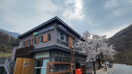 国立チルゴク(漆谷)スプチェウォン (국립칠곡숲체원) - 観光 - 韓国旅行・観光情報