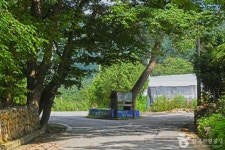 죽령옛길 - 주변 여행 및 근처 관광 명소 - 국내 여행 정보와 관광 명소 정보