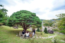 소울원 관광 정보와 주변 관광 명소 및 근처 맛집 여행 정보