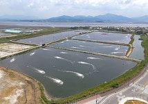 곰소염전 관광 정보와 주변 관광 명소 및 근처 맛집 여행 정보