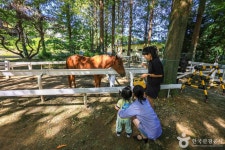 한터농원(한터조랑말농장) 관광 정보와 주변 관광 명소 및 근처 맛집 여행 정보