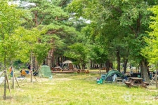 장신유원지 관광 정보와 주변 관광 명소 및 근처 맛집 여행 정보