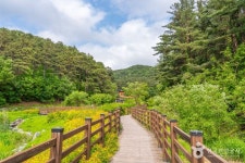 매쟁이골 관광 정보와 주변 관광 명소 및 근처 맛집 여행 정보