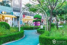 장미의거리 관광 정보와 주변 관광 명소 및 근처 맛집 여행 정보