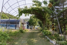 고구려목장 - 주변 여행 및 근처 관광 명소 - 국내 여행 정보와 관광 명소 정보