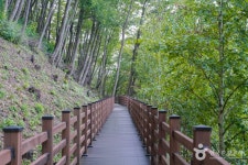 와룡자연휴양림 관광 정보와 주변 관광 명소 및 근처 맛집 여행 정보