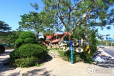 솔향 음식점 정보와 주변 관광 명소 및 근처 맛집 여행 정보