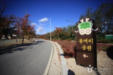 숲나들e - 여행정보 |