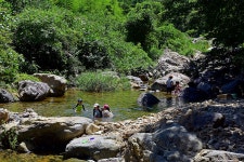 원동자연휴양림 야영장 레저스포츠 정보와 주변 관광 명소 및 근처 맛집 여행 정보